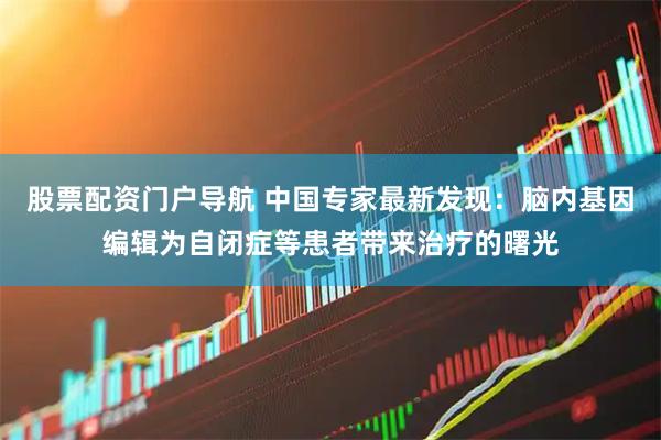 股票配资门户导航 中国专家最新发现：脑内基因编辑为自闭症等患者带来治疗的曙光